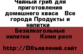 Чайный гриб для приготовления домашнего кваса - Все города Продукты и напитки » Безалкогольные напитки   . Коми респ.